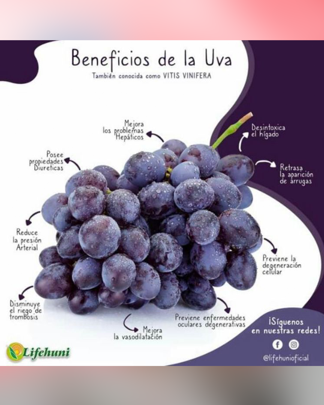 uvas