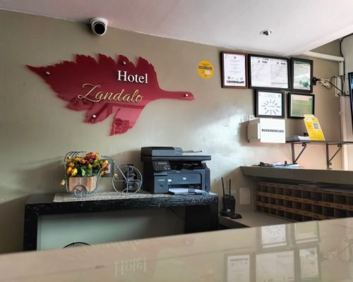 WhatsApp Image 2025-11-12 at 8.50.40 AM