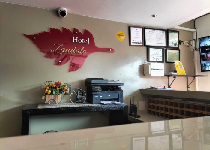 WhatsApp Image 2025-11-12 at 8.50.40 AM