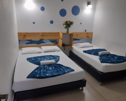 WhatsApp Image 2025-11-12 at 9.02.58 AM (2)