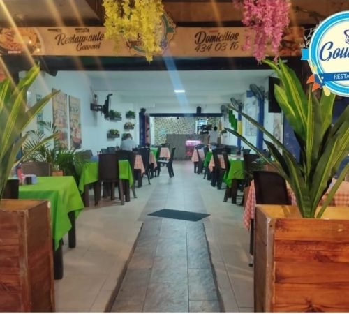 WhatsApp Image 2025-11-12 at 9.17.17 AM