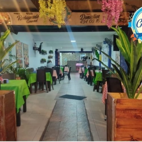 WhatsApp Image 2025-11-12 at 9.17.17 AM